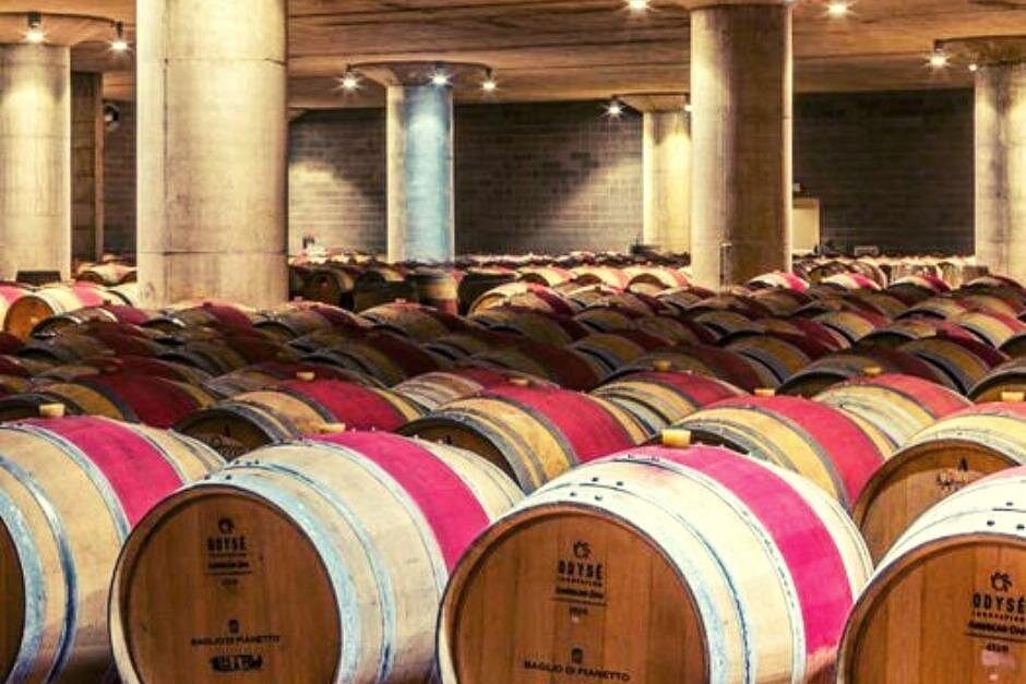 Sicilian winery tour with wine tasting from Palermo at Baglio di Pianetto